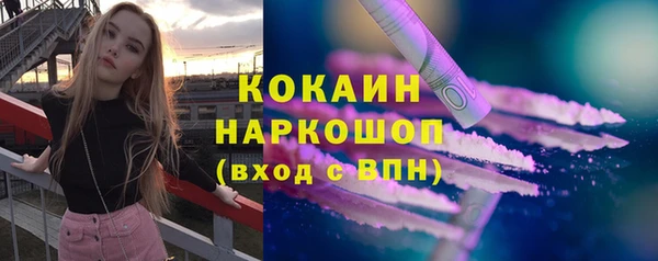 стаф Алексин