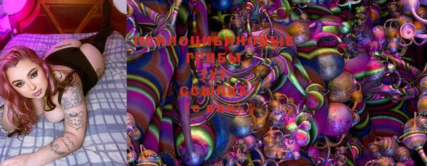 индика Алексеевка