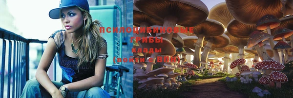 скорость mdpv Каменка